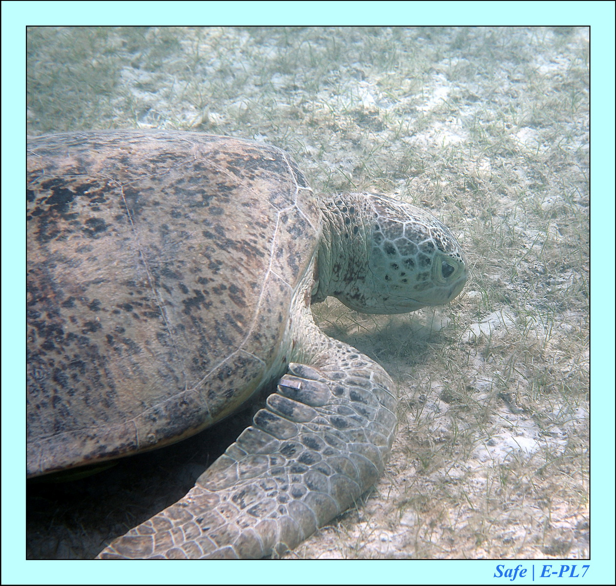 2016 - 07 - Leng Tengah - 081